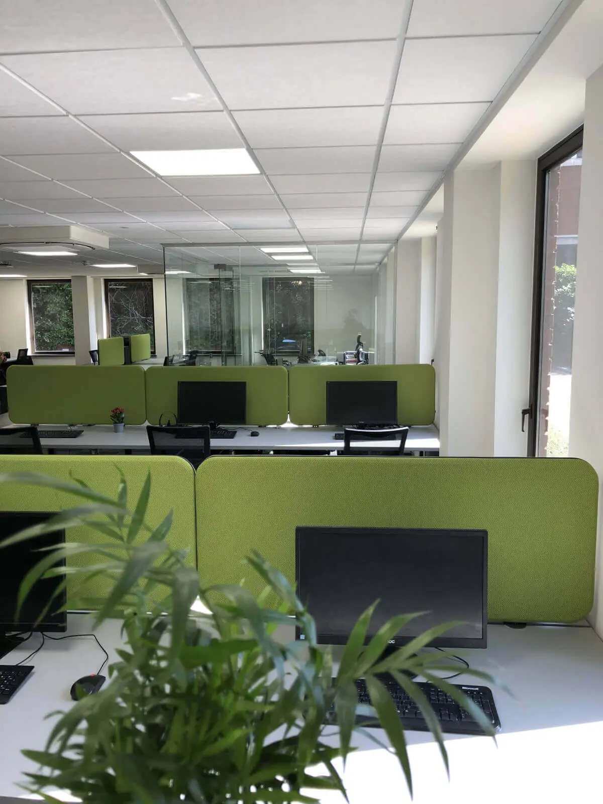 Green office space with designer furniture
