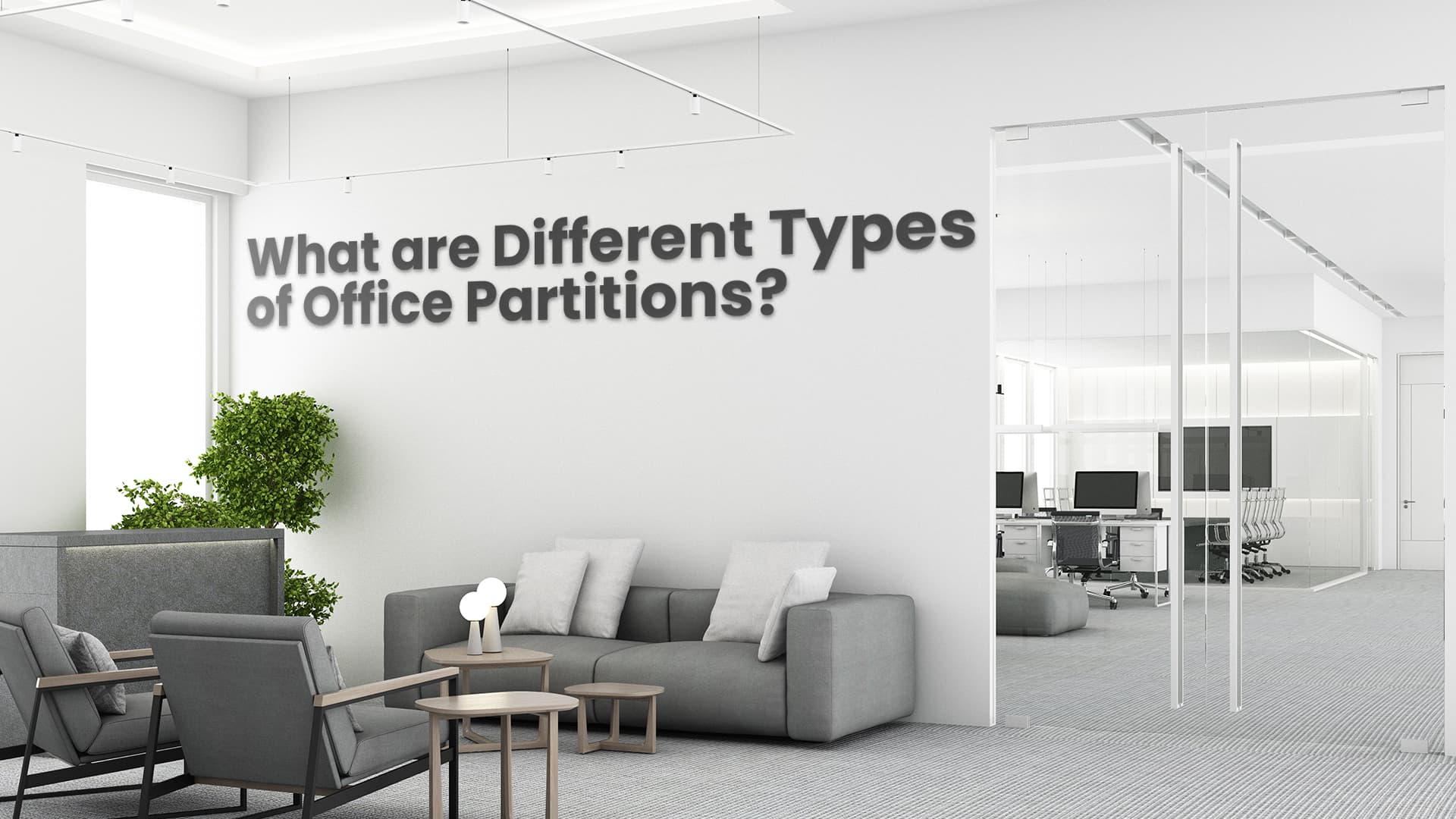 Different Types of Office Partition Systems Explained